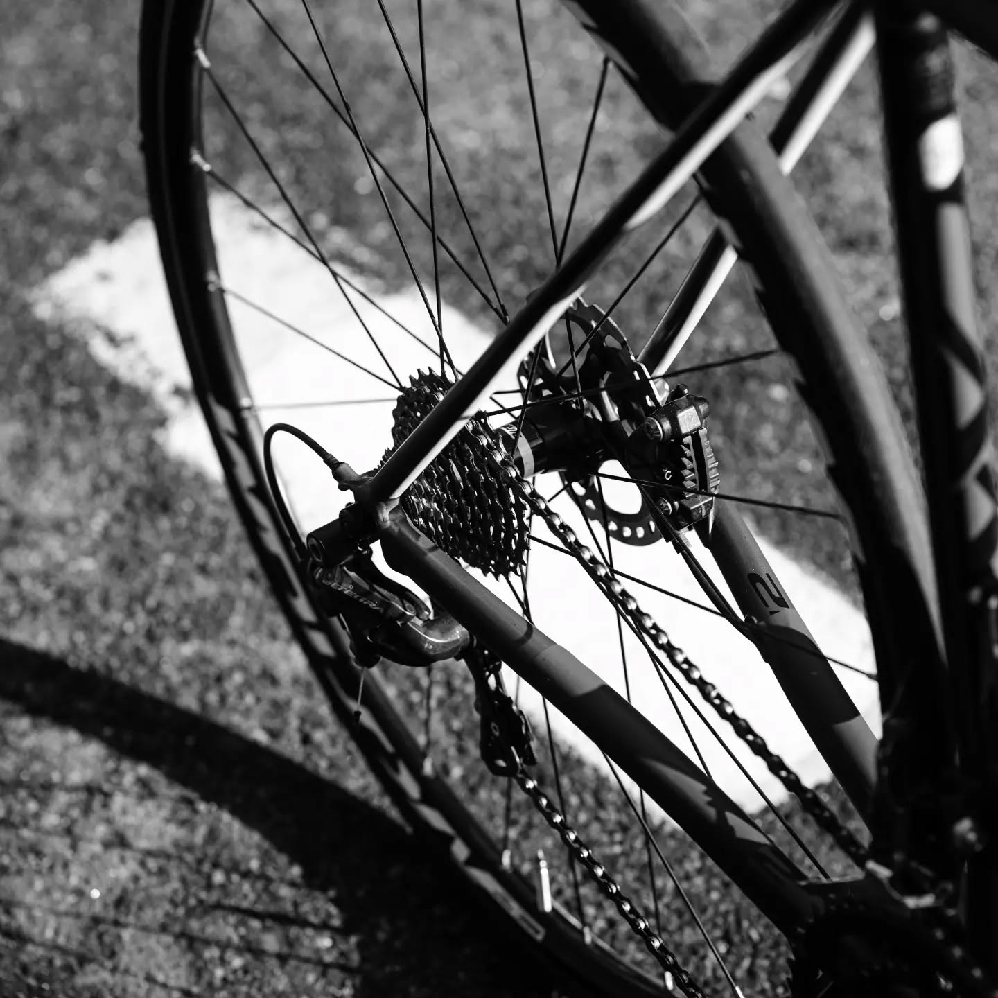 Bisiklet mekaniğine dair çevrimiçi teknik dokümanlar bir tık uzakta 🔧🚲
.
Kaynakça Evreni ile bisiklet komponent ve ekipman üreticilerinin teknik sayfalarına hızlıca ulaşın.
.
.
.
#sosyologmekaniker #kaynakça